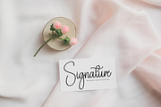 Dictionary | Script Font, a Handwritten Font by Scratchones (Thumbnail 4 of 8)