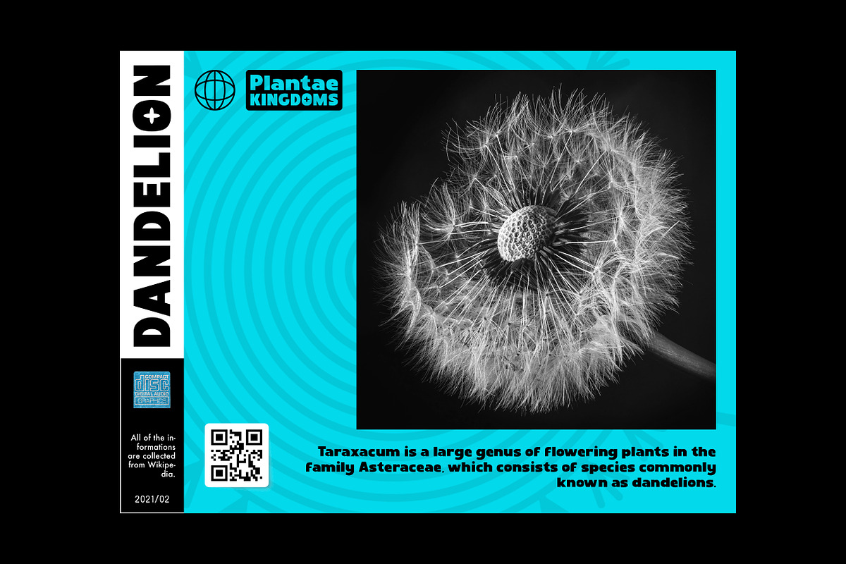 Fontatonic - Bold Sans Serif Fonts, a Sans Serif Font by Ian Irwanwismoyo (Photo 4 of 7)