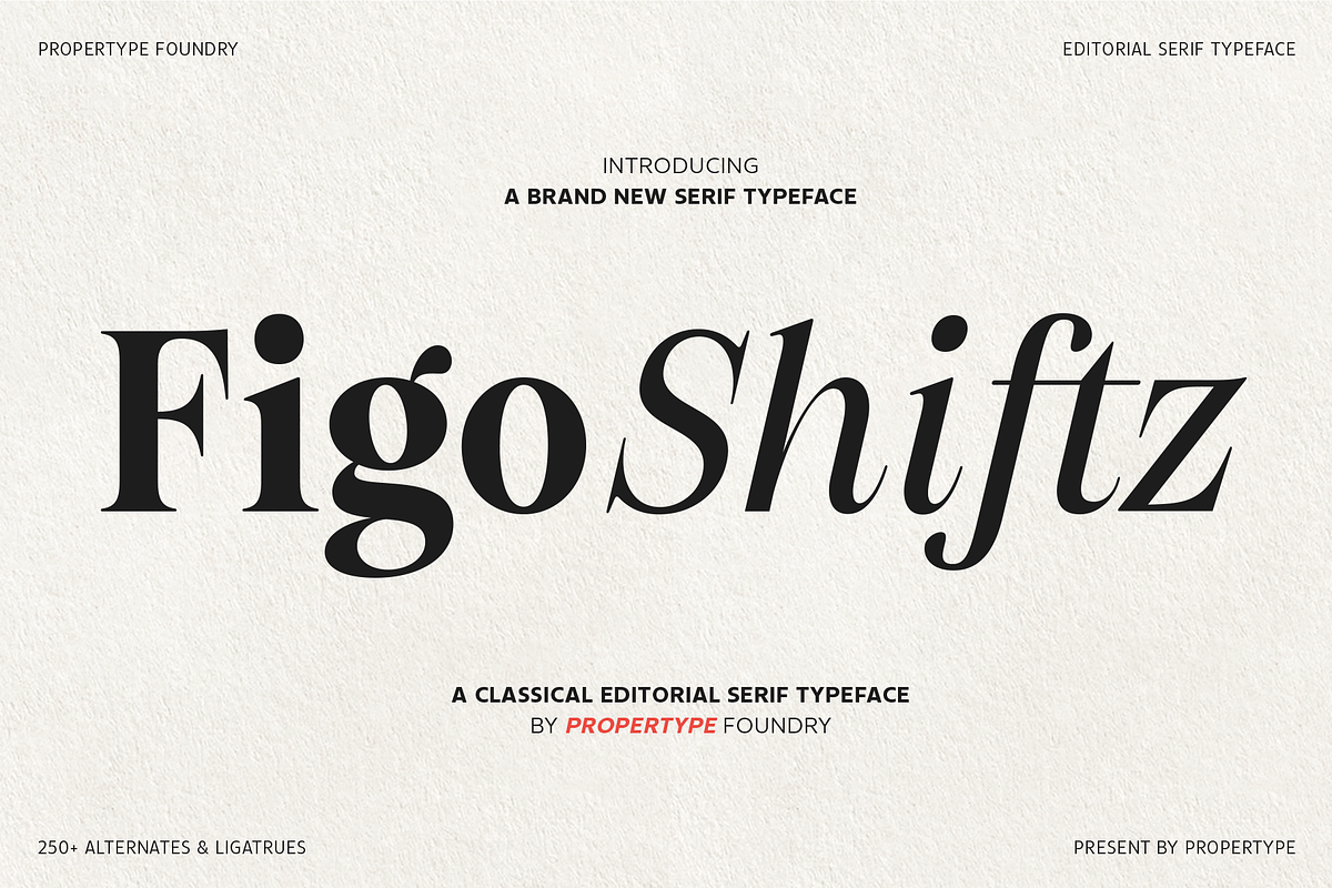 Figo Shiftz, a Serif Font by Propertype (Photo 1 of 13)