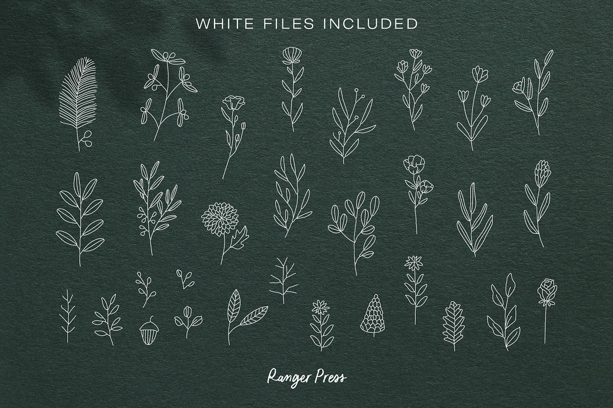 Wildflowers Line Art Botanicals, an Illustration by LifestyleCraftCo (Photo 3 of 6)