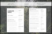 Professional Resume, a Resume Template by introDuice - CV / Resumes (Thumbnail 2 of 6)