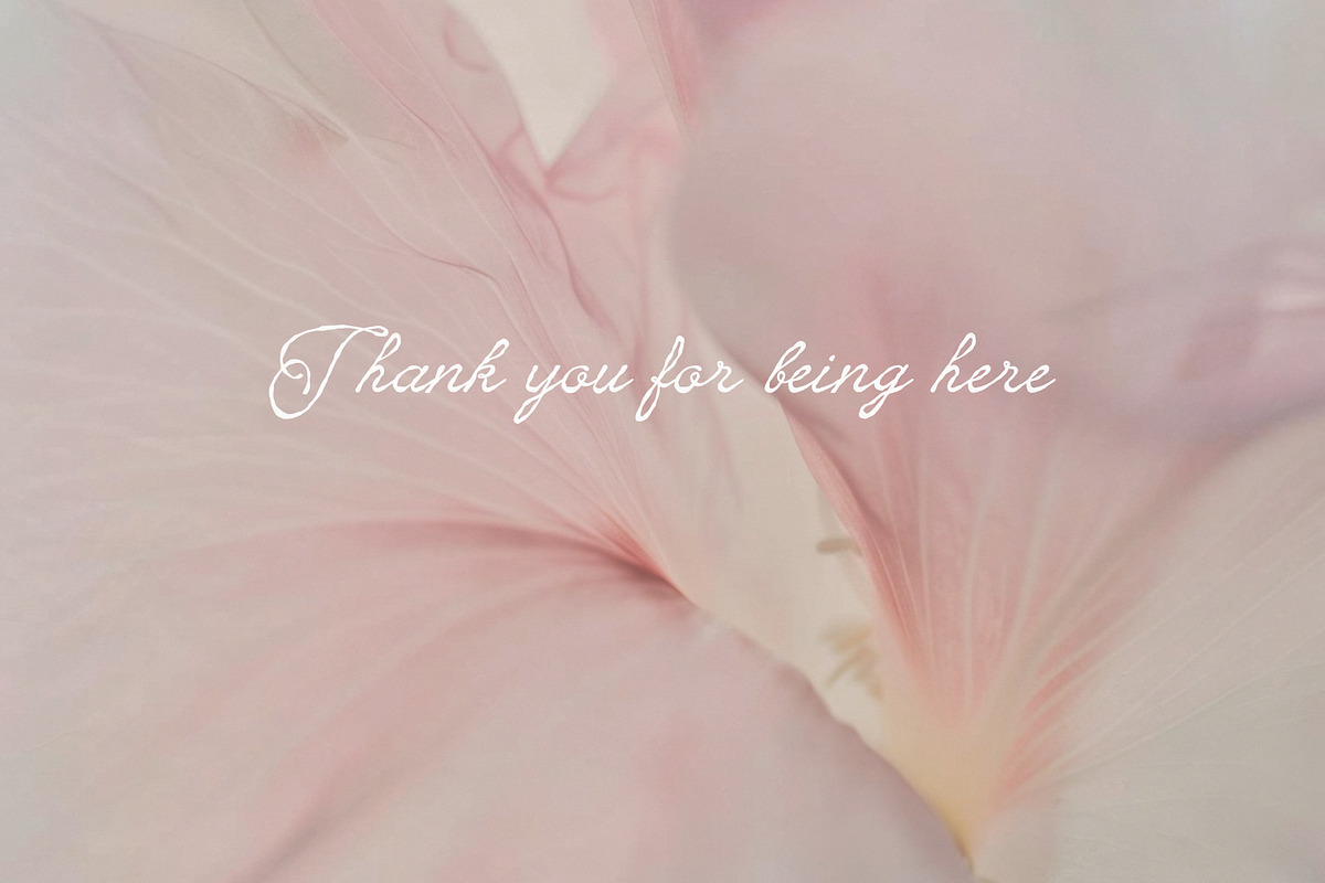 En Clair Vintage Rough Script Font, a Script Font by AnMark (Photo 14 of 14)