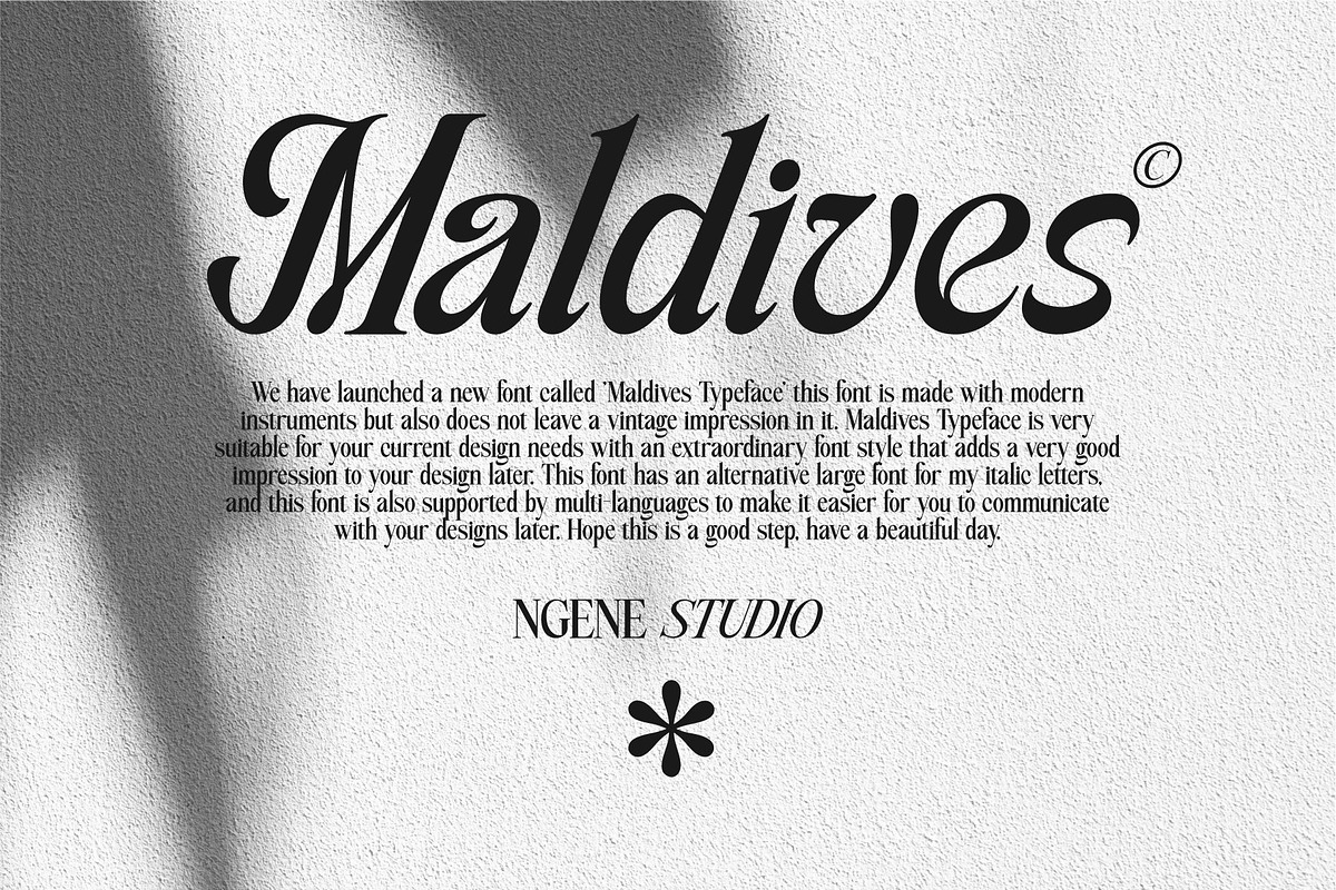 Maldives Typeface, a Serif Font by ngene (Photo 2 of 12)