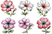 Spring Petunia Flower Clipart, an Illustration by DreamArtGraphic (Thumbnail 2 of 5)