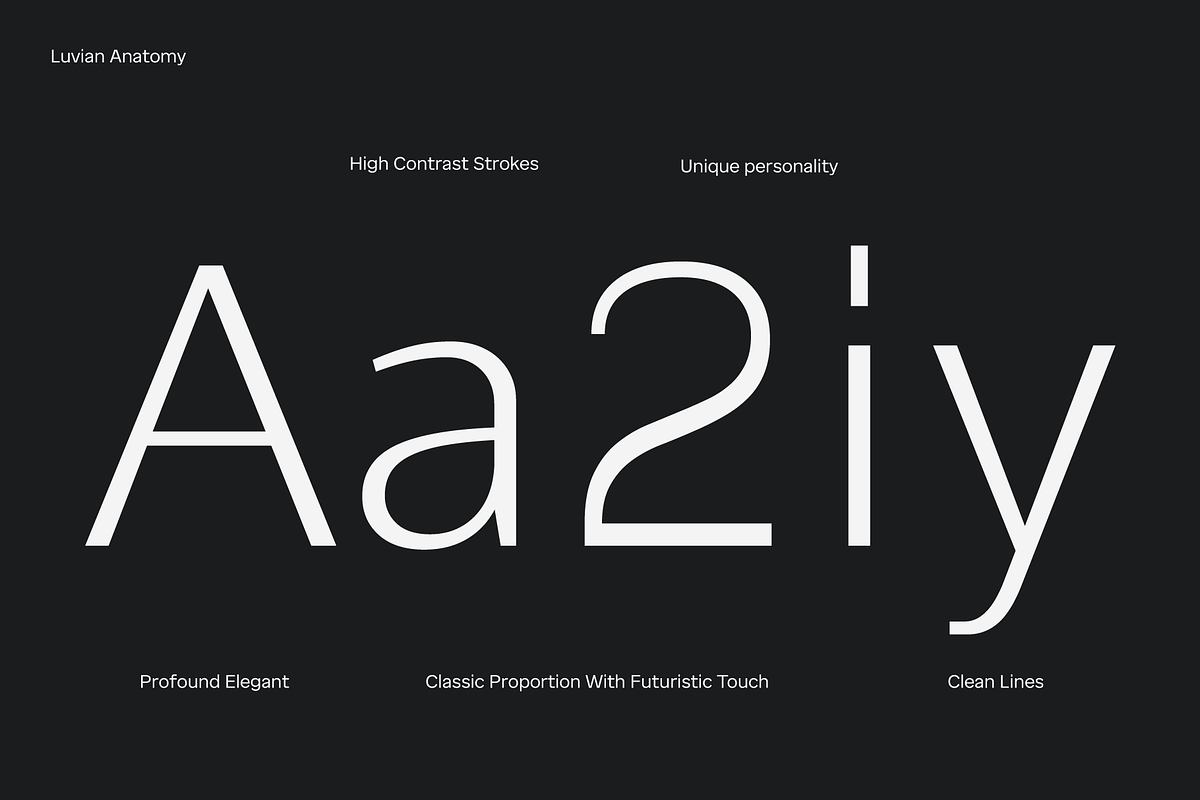 Luvian; Elegant Font Family, a Sans Serif Font by Eko Bimantara (Photo 5 of 15)