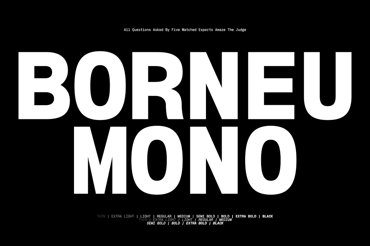 Borneu Mono Regular, a Sans Serif Font by BorneuStd (Photo 1 of 10)