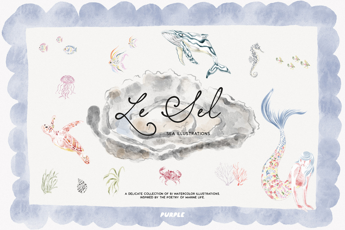 Le Sel: Watercolor Sea Illustrations, a Decorative Illustration by Purple (Photo 1 of 12)