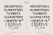 National Park Font Bundle, a Handwritten Font by Vicarel Studios (Thumbnail 22 of 31)