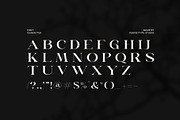 Gian Beart Elegant Serif Font, a Serif Font by Perfectype (Thumbnail 8 of 8)