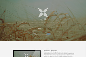 Multipurpose One-Page PSD Template