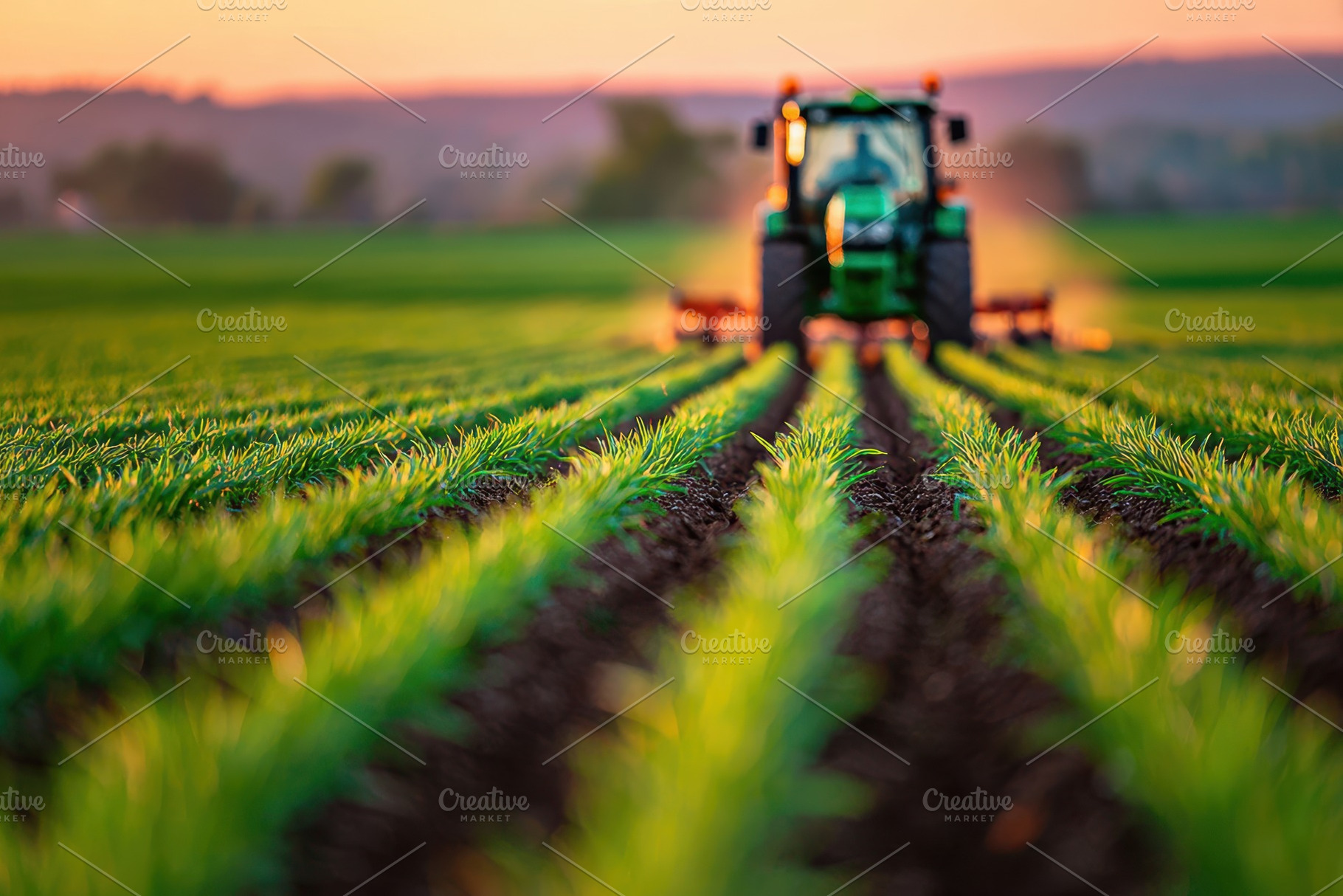 Tractor in young crop rows at sunset, an Industrial Photo by AlyaAnd