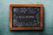 Hand drawn leaves of different trees, a Decorative Illustration by Tkoko vectors & patterns (Thumbnail 2 of 14)