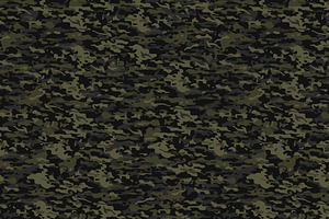 Camouflage Pattern