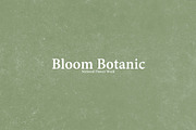 Wilkeson Modern Serif Typeface, a Serif Font by Design 265 (Thumbnail 2 of 5)