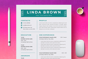 Stylish Professional Resume