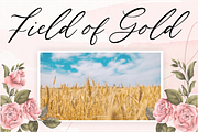 Natural Garden - Modern Script Font, a Script Font by Balpirick Studio (Thumbnail 5 of 7)