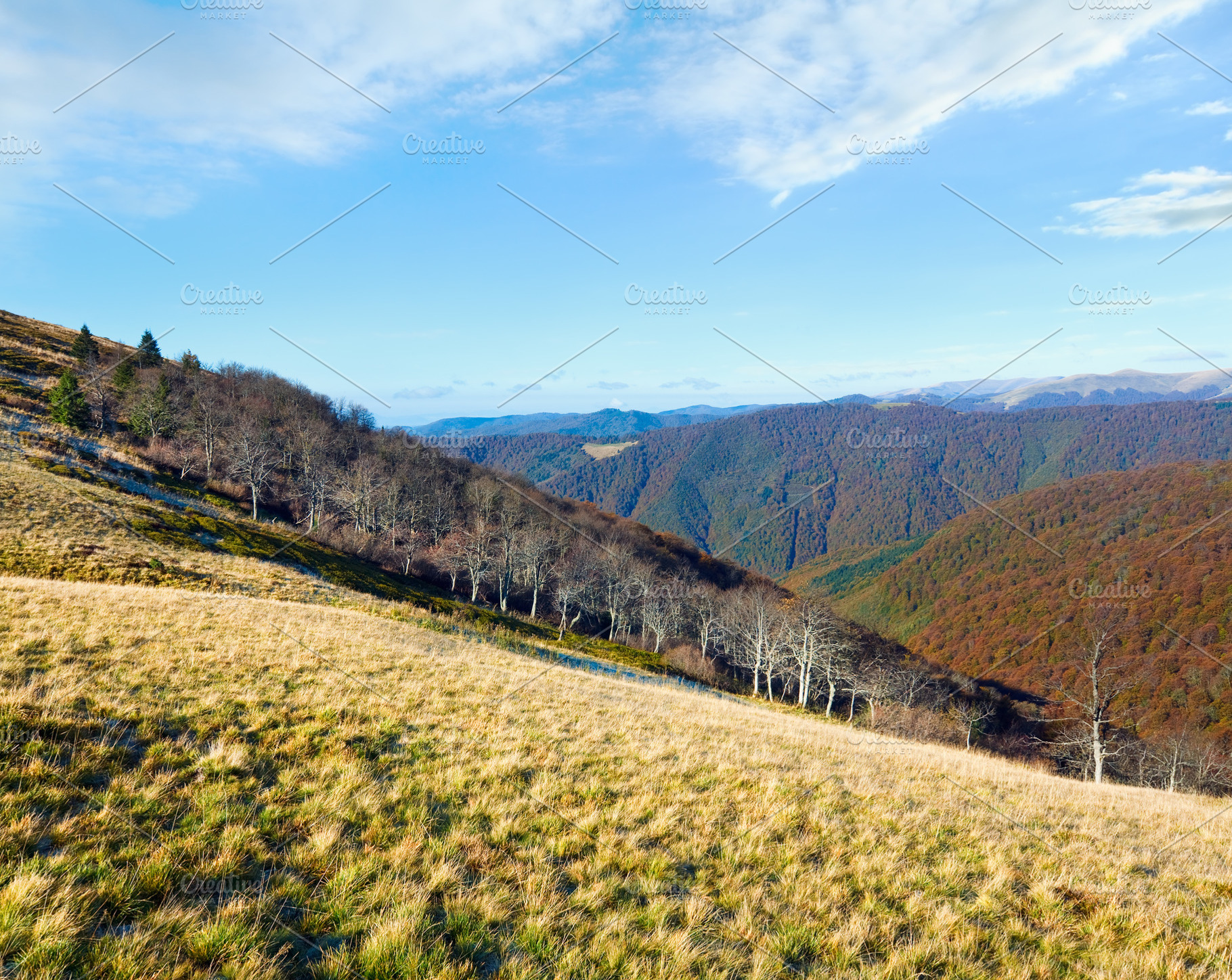 Autumn mountains  and stark bare trees, a Nature Photo by YuriyB