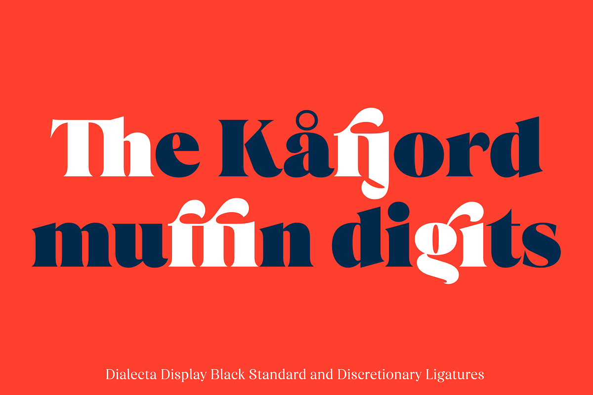 Dialecta Display, a Serif Font by Craceltype (Photo 8 of 9)