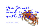 monaline mono script, a Script Font by Tooris (Thumbnail 1 of 8)