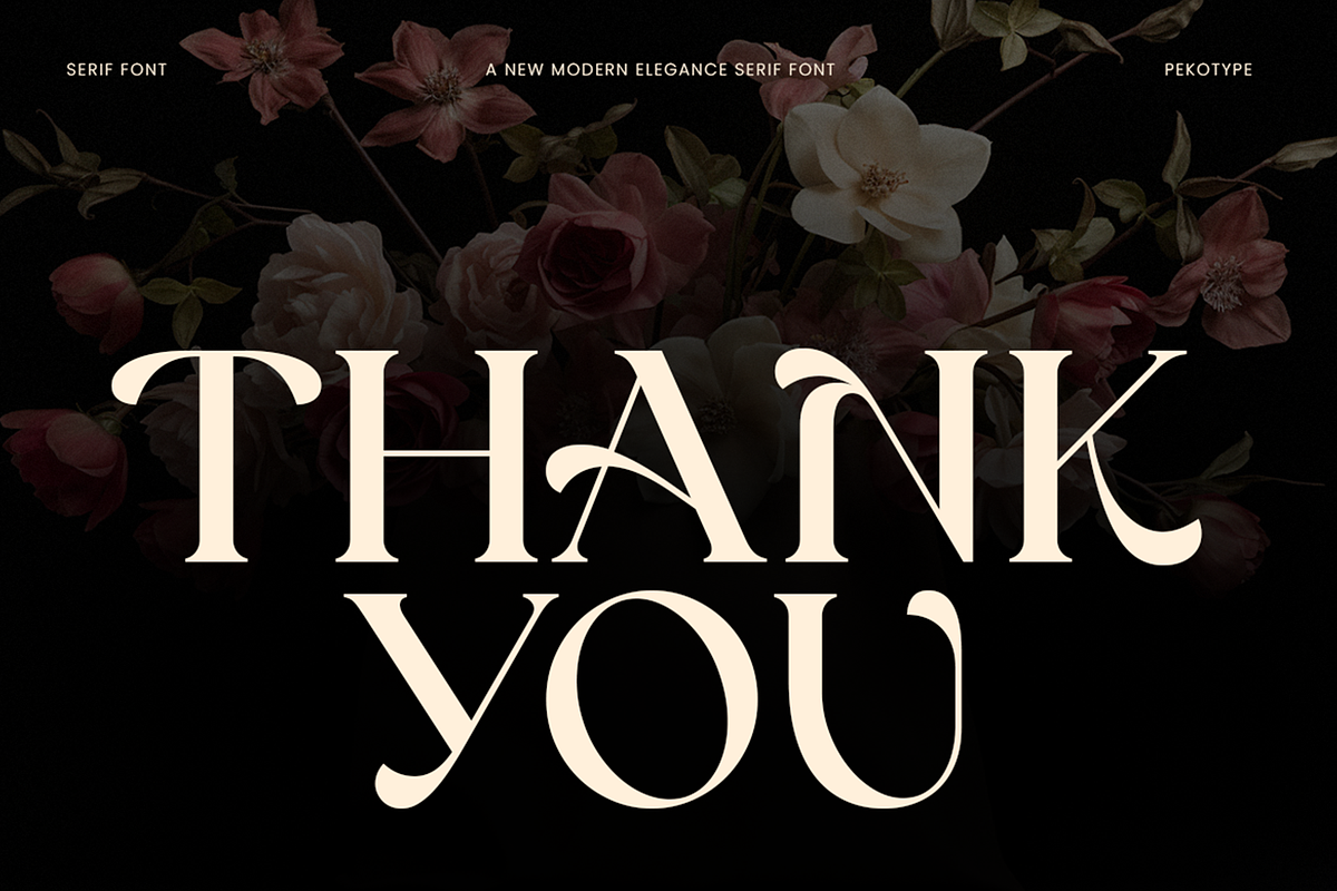 Reinsa - Elegant Modern Logo Font, a Sans Serif Font by Pekotype (Photo 15 of 15)