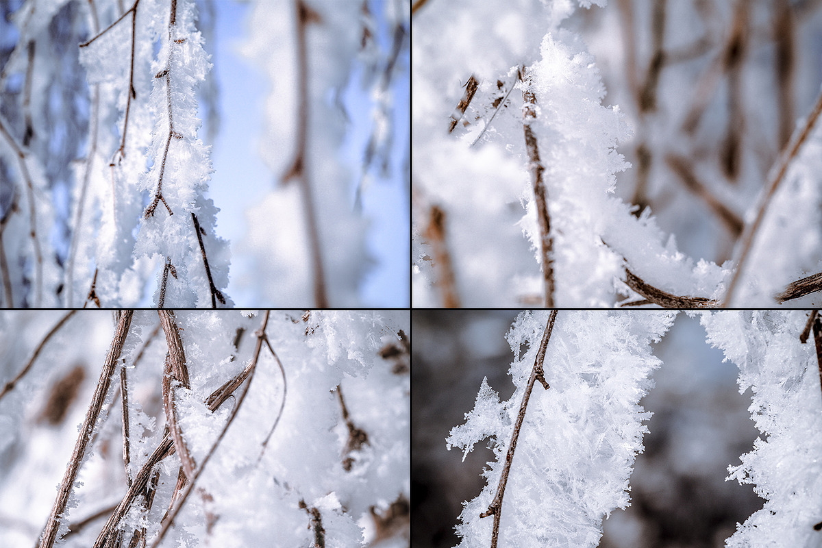Frozen morning bundle /77pics, a Background Graphic by tydla (Photo 2 of 12)