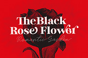 Black Starsdust (Font Duo), a Serif Font by Genesis Lab (Thumbnail 5 of 10)