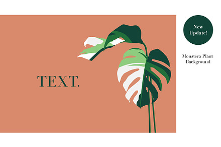 Plant Background