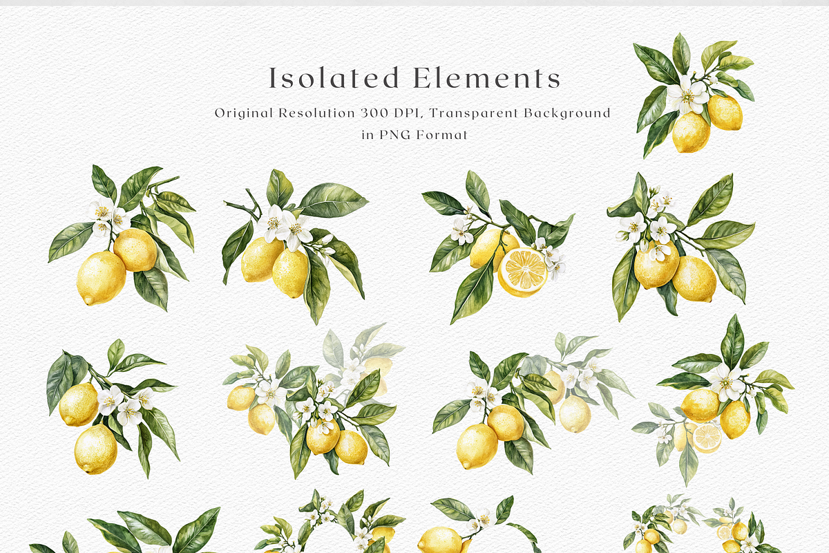 Sicilian Lemon - Watercolor clipart, a Decorative Illustration by ThaismotaCreativeCo (Photo 8 of 9)