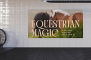 Qulight Modern Serif Display, a Serif Font by timelesstype.co (Thumbnail 5 of 20)