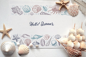 Sea Shells Collection