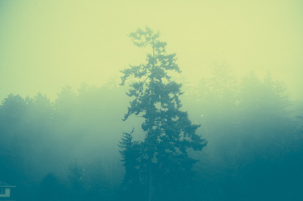 Fog Stock Photo preview 5