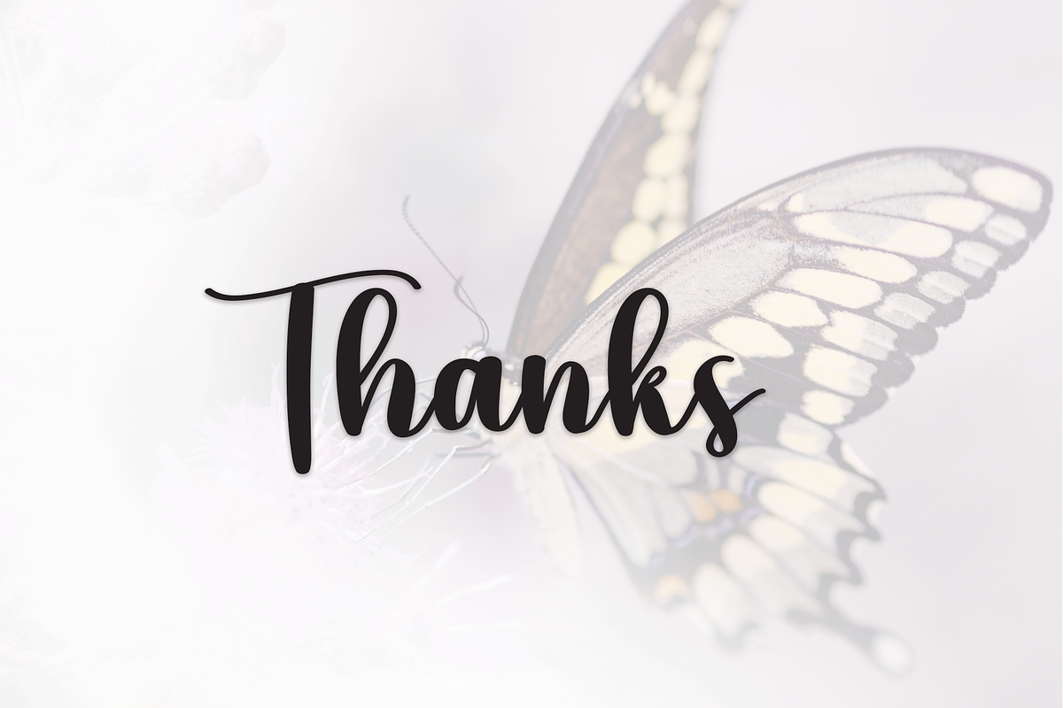 Beautiful Butterfly | Script Font, a Script Font by Scratchones