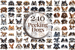 240 Breed Of Peeking Dog Clipart, an Animal Illustration by Coralcreations