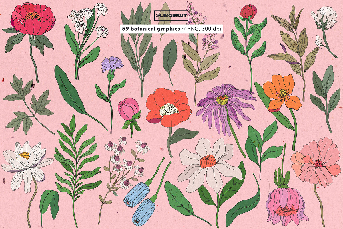 Botanical Modern Floral Illustration, a Decorative Illustration by likorbut (Photo 4 of 6)