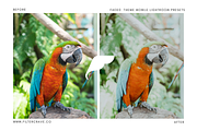 Faded Mobile Lightroom Presets, an Action Add-On by Filtercrave (Thumbnail 5 of 9)