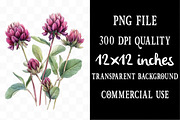 Wildflower Clipart Bundle, an Illustration by Designking (Thumbnail 4 of 5)