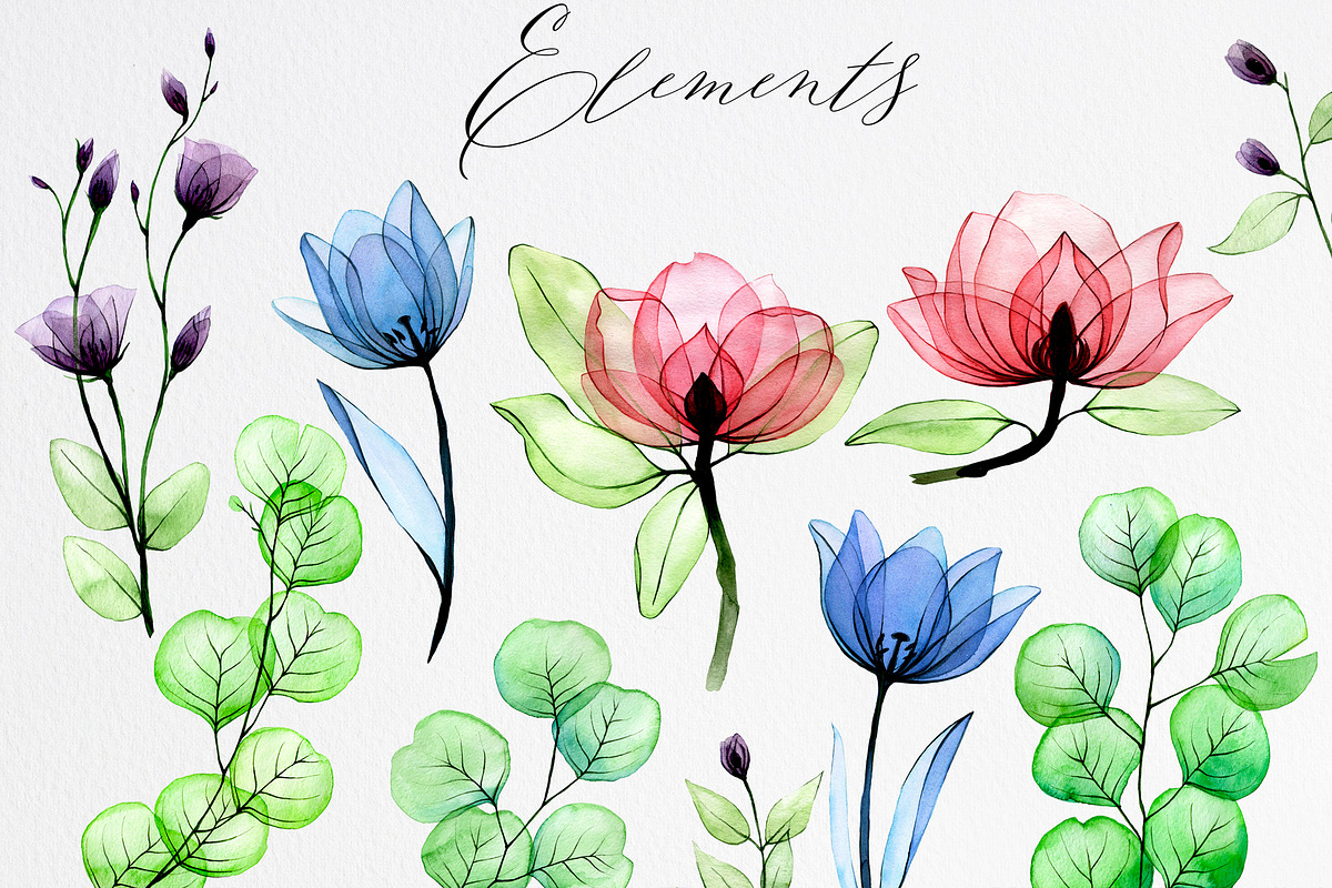 Wild roses. Watercolor flowers., a Decorative Illustration by made by Tanya (Photo 6 of 7)