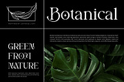 Brilega Fadone | Modern Classy Serif, a Serif Font by Ermedia Studio (Thumbnail 2 of 10)