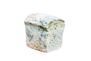 Moldy Loaf of Bread Isolated on, a Food & Drink Photo by Pakosta