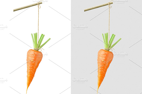 Carrot On A String