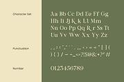 Eminara Elegant Serif Font, a Serif Font by Rasio Studio (Thumbnail 2 of 7)