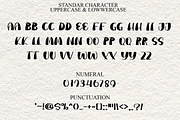 Baseball Classic, a Script Font by FreshTypeINK (Thumbnail 7 of 8)