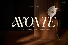 Avonte - Elegant Serif Font