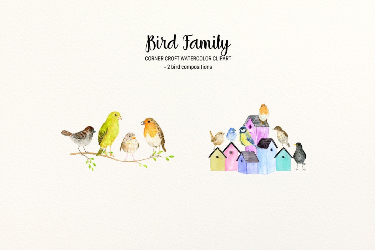 Bird Family Illustration, a Person Illustration by Corner Croft (Photo 7 of 12)