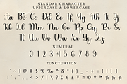 Violetta, a Handwritten Font by FreshTypeINK (Thumbnail 8 of 8)