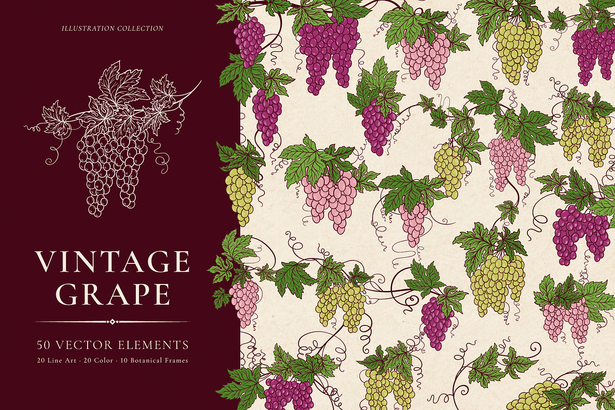 Vintage Grape Vector set Wine Labels, a Food Illustration by Neliakott ♥ (Photo 1 of 10)