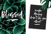 Bellamy Script, a Script Font by Calamar Studio (Thumbnail 8 of 13)