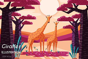 Giraffes illustration, vector