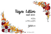 Tiger Lilies & Roses - clip-art, an Illustration by Zooza Art (Thumbnail 5 of 15)