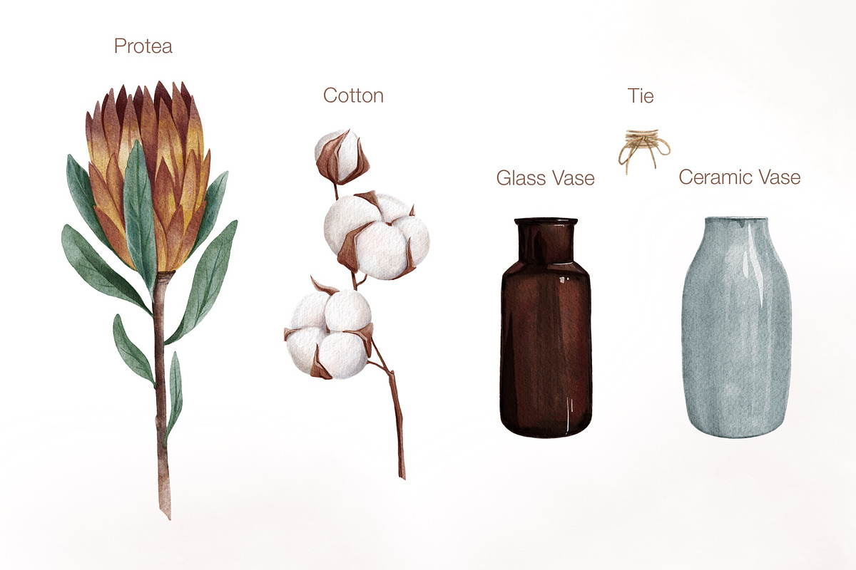Watercolor dried flowers set, a Decorative Illustration by Maria Summer (Photo 3 of 7)